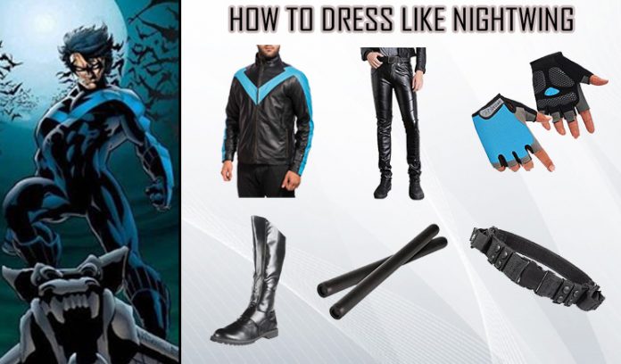 Video Game Nightwing Costume