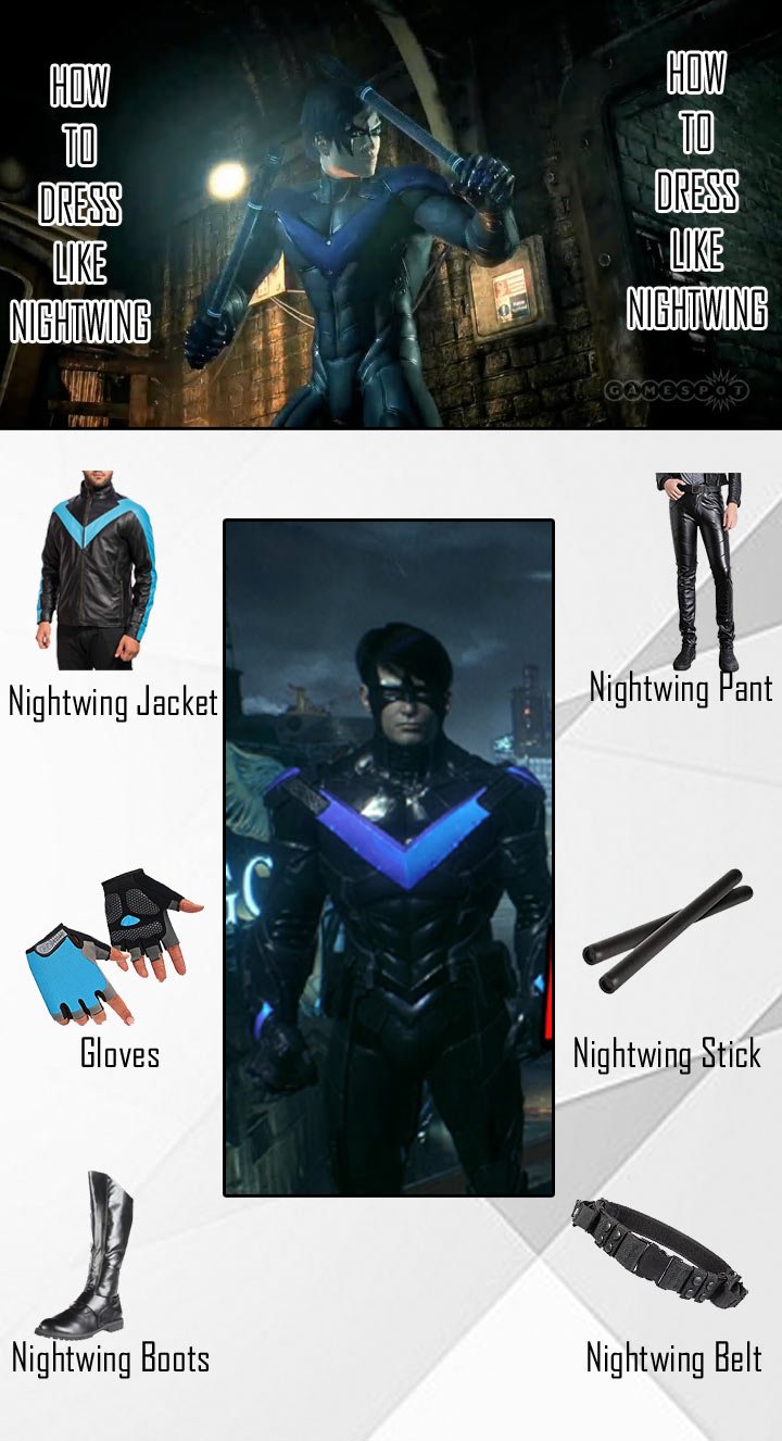 Video Game Nightwing Costume Guide