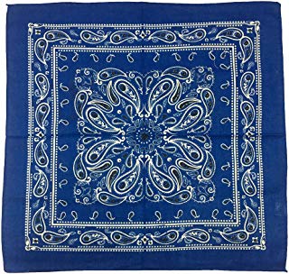 How to Dress Like The Lone Ranger 21 Ranger bandanas