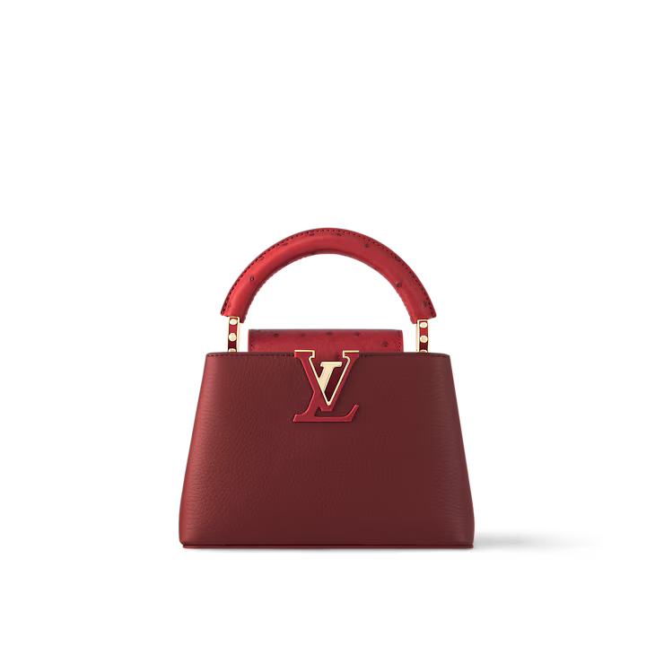 demi-moore-handbag