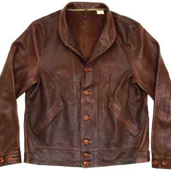 Albert Einstein Brown Jacket