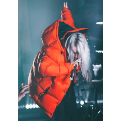 Billie Eilish Red Puffer Jacket Billie Eilish Red Puffer Jacket