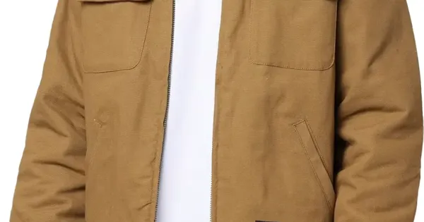 Dickies forest city jacket store