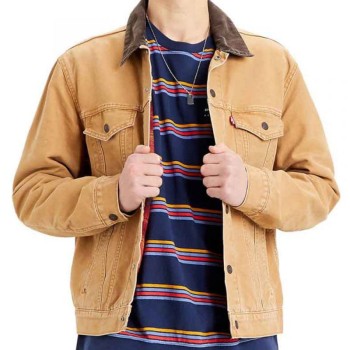 Tyler Hoechlin Superman and Lois Cotton Jacket