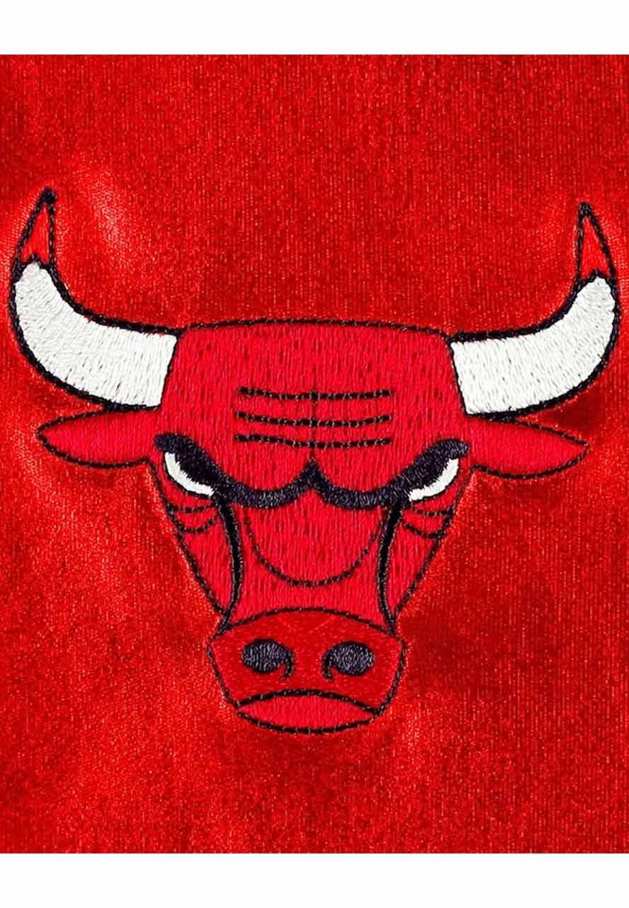 Chicago Bulls Metallic Varsity Jacket