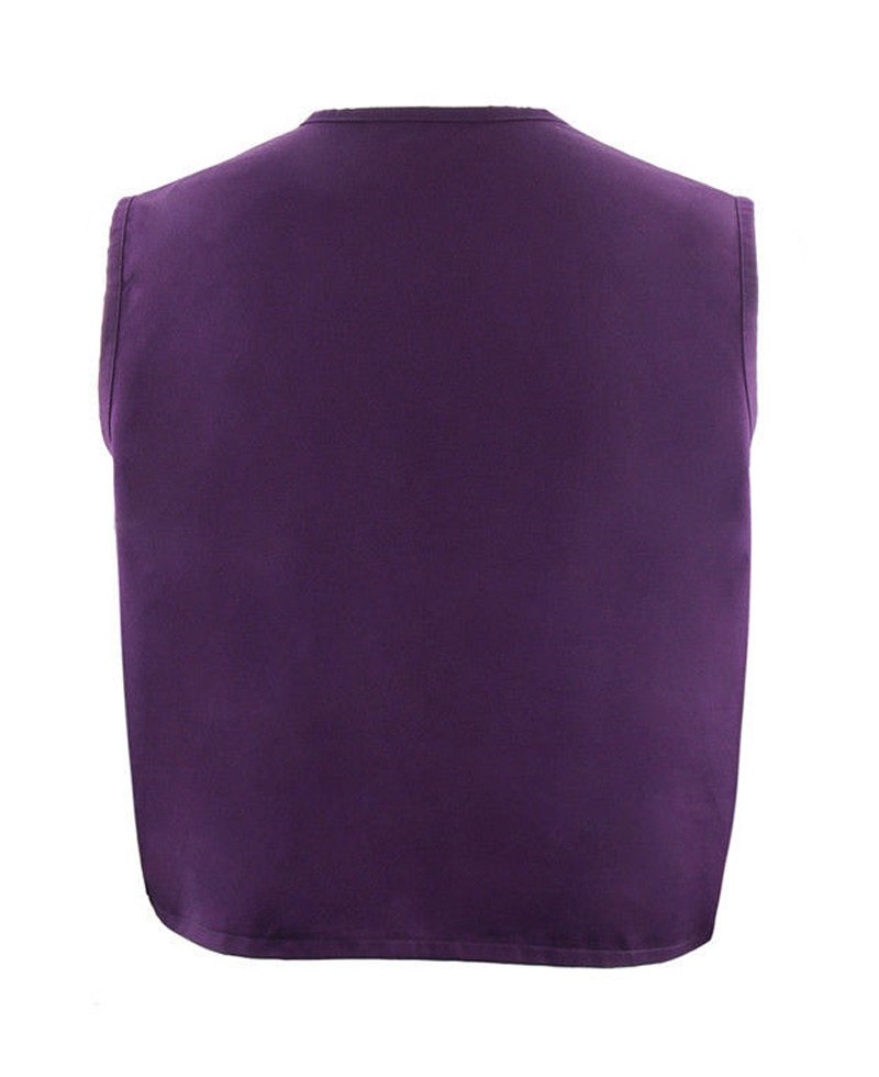 Aladdin Purple Vest