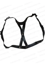 arrow holster