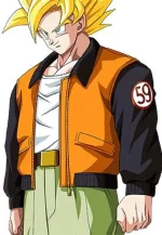 goku jacket