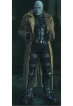 hush leather coat