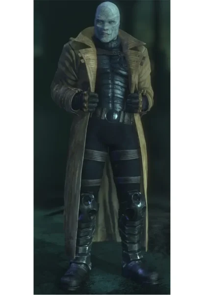 hush leather coat