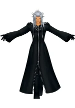 kingdom hearts organization 13 hoodie