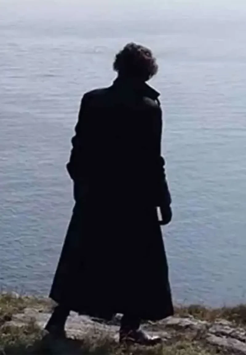 timothee chalamet trench coat