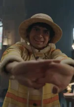 luffy dmonkey pirate coat