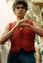 luffy vest