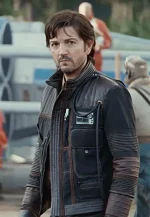 andor leather jacket