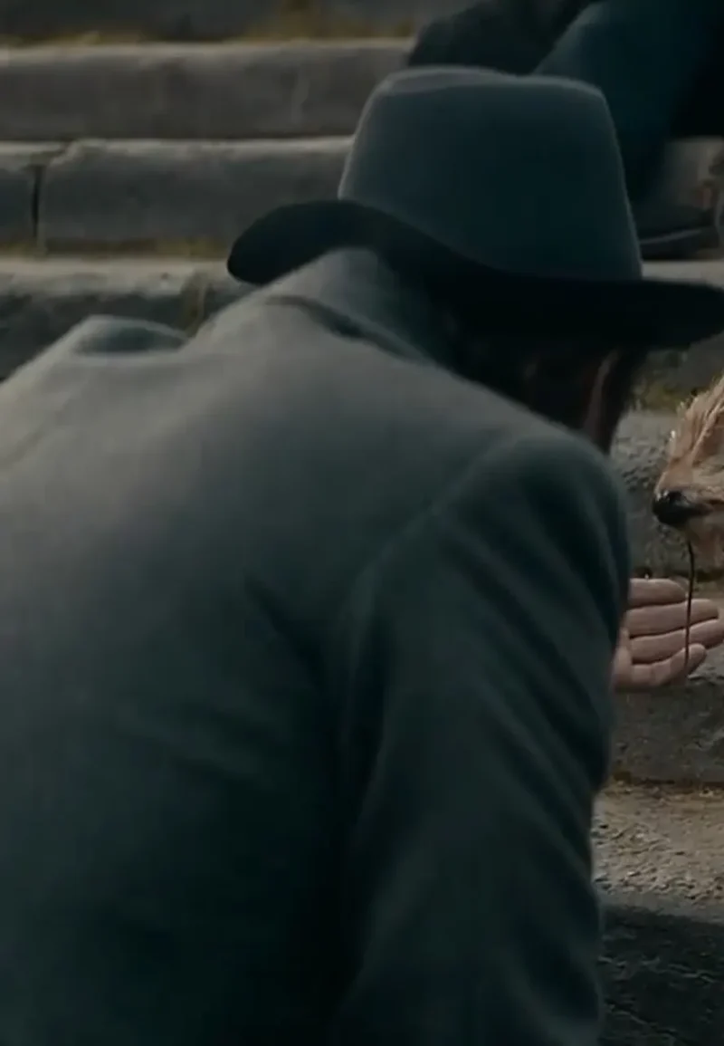 fantastic beasts dumbledore coat