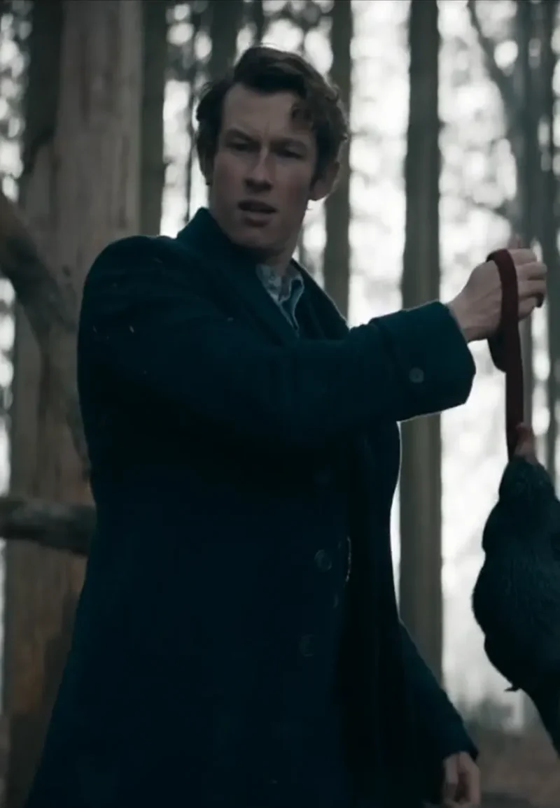 fantastic beasts wool coat