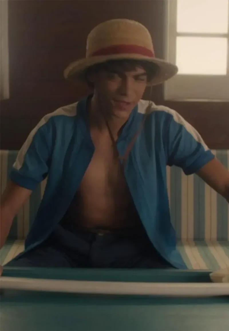 monkey d luffy t shirt