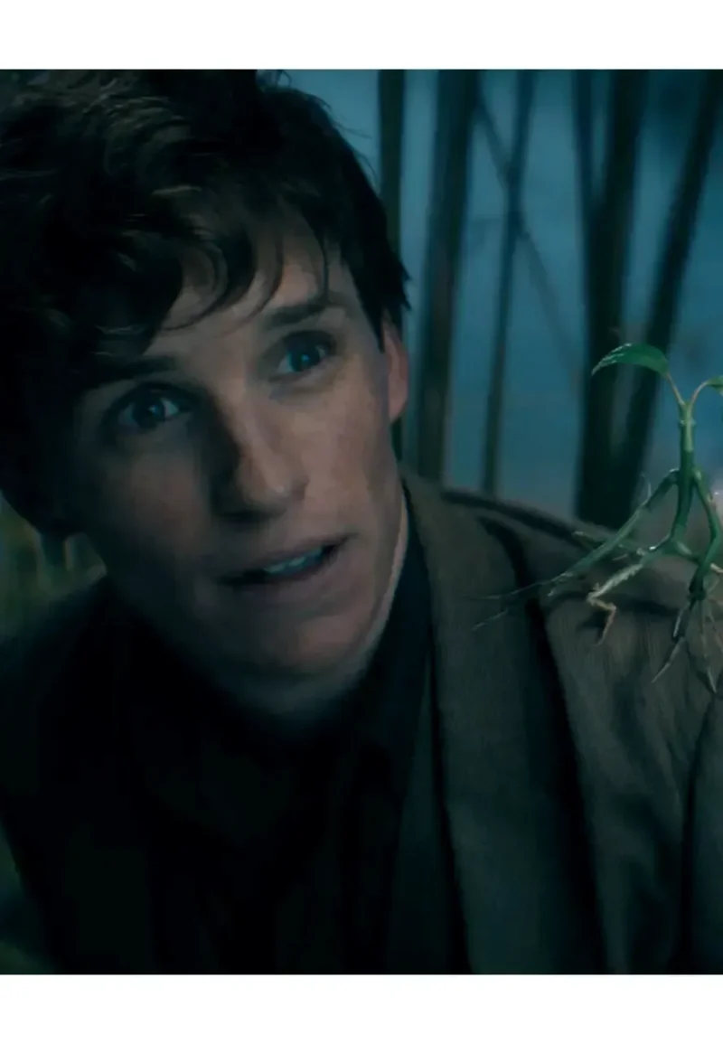 the secrets of dumbledore blazer